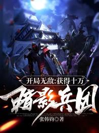 开局无敌:获得十万暗影兵团